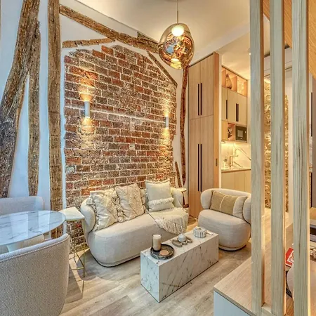 Historic Loft By Architect, Near Louvre Parigi